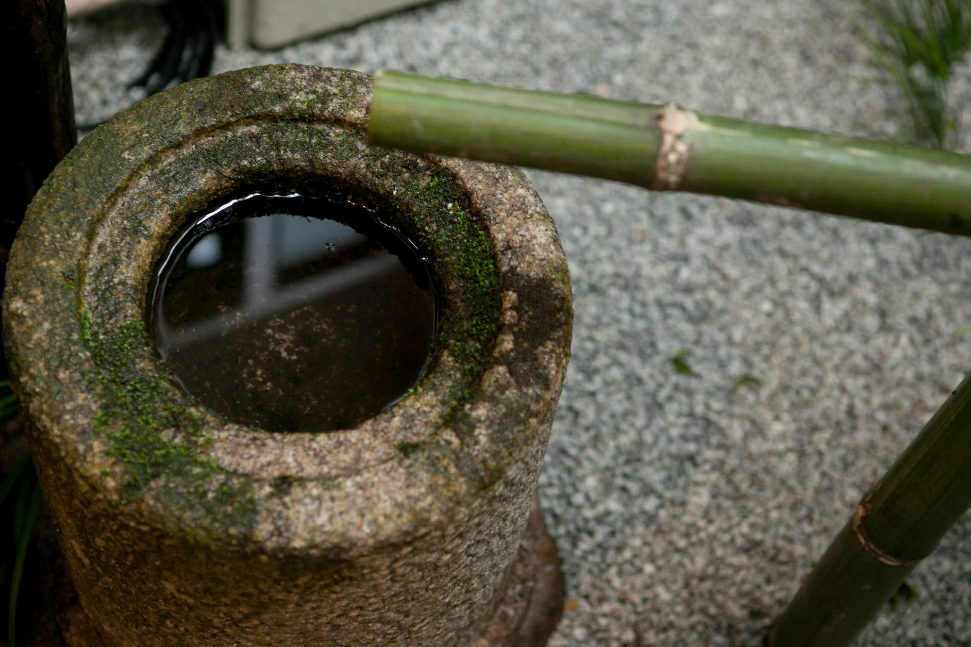 Rinn Kujokamogawa เกียวโต ภายนอก รูปภาพ